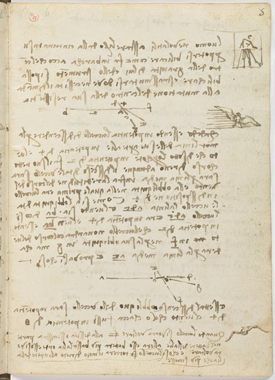 Código sobre el vuelo de los pájaros, c. 1505-06, manuscrito en papel, cc. 18, hoja 5 recto de Leonardo da Vinci